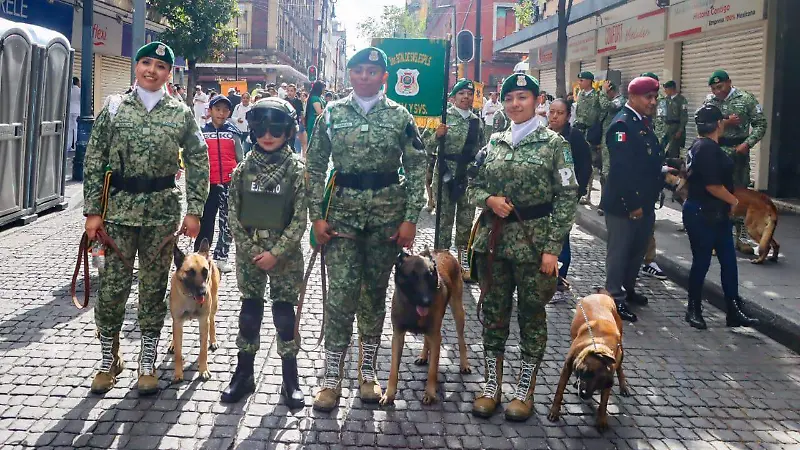 Desfile militar 2025